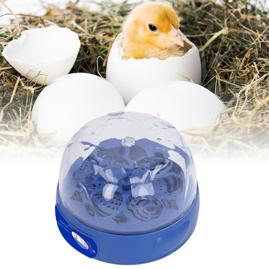 Eierinkubator 6 Eier 15W Blau mit automatischem Wender Eierkerze Display Temperaturregelung Geflügelbrutmaschine