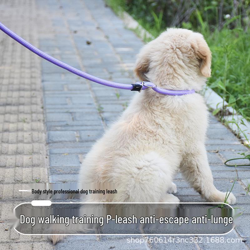 Shock-Absorbing Explosion-Proof Dog Leash for Small, Medium, Large Dogs