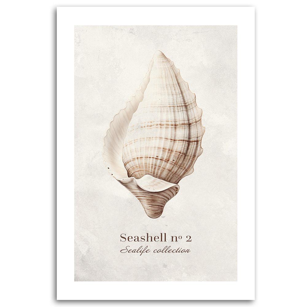 Canvas Print, Shell On Natural Background