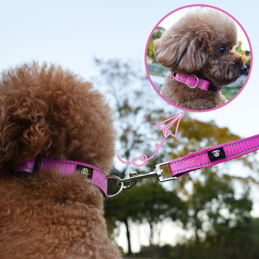 NESTROAD Adjustable Dog Reflective for Nighttime Suitable for and Large All Breathable Training Easy to Put Durable Collar, Use, Small, Medium, Dogs,