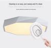 Modern LED Ceiling Lamp for Living Room, Bedroom, Corridor, and Balcony