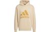 Sweatshirts Men's Magic Light Umber Hooded Moderate Other IX4913