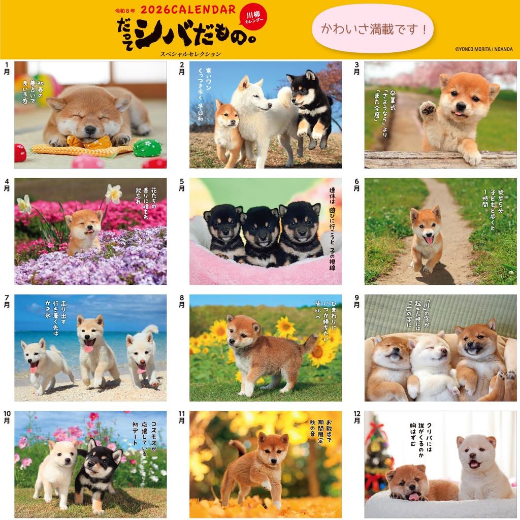 Active Corporation 2026 Wall Calendar Starts January 2026 (Because it's Shiba) 26ACL-64