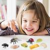 Animal Models, 20 Insect Toys, Life Cycle Model, Plastic Insect Model Toys, Early Childhood Education Toys and Gifts.