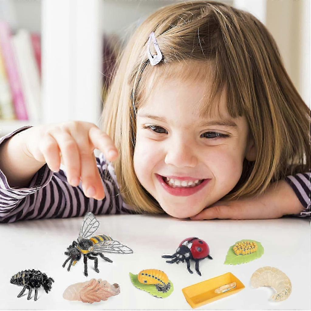 Animal Models, 20 Insect Toys, Life Cycle Model, Plastic Insect Model Toys, Early Childhood Education Toys and Gifts.