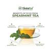 NeutraVed Spearmint Leaf Tea - 70g | Spearmint Loose Leaf Tea | May Helps Reduce Stress & Improve Memory | Reusable Stand-Up Pouch Food Grade Material