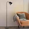 oeny Floor Lamp with Remote Control
