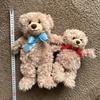 [USED] DAISO Honey Teddy Bear Plush Toy
