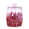 ZISIZ Thickened Glass Storage Jar