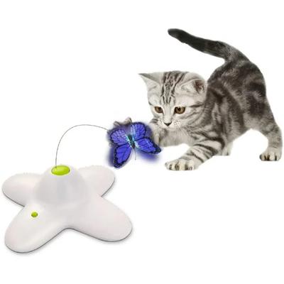 Katzen – Katzenspielzeug