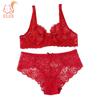 Women Sexy Lace Lingerie Sets 2 Pieces Underwired Bra&Panty Set Sheer See Through Low Waist Underwear