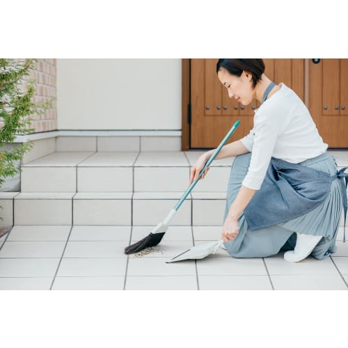 Yamazaki Sangyo Hand Dustpan 2989.jp+ Home Dust A Steel 175642