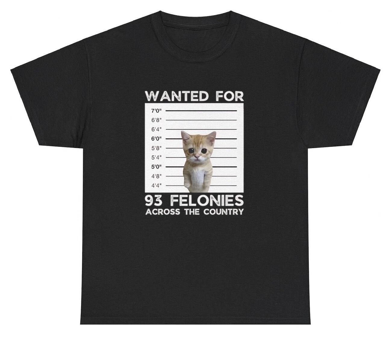 

Wanted For 93 Felonies T Shirt Funny Bad Cat Owner Lover Jail Meme Gift Tee 2XL