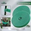 Green Plant Magic Tape: Adjustable Hook and Loop Binding Strap for Shaping and Supporting Plants.