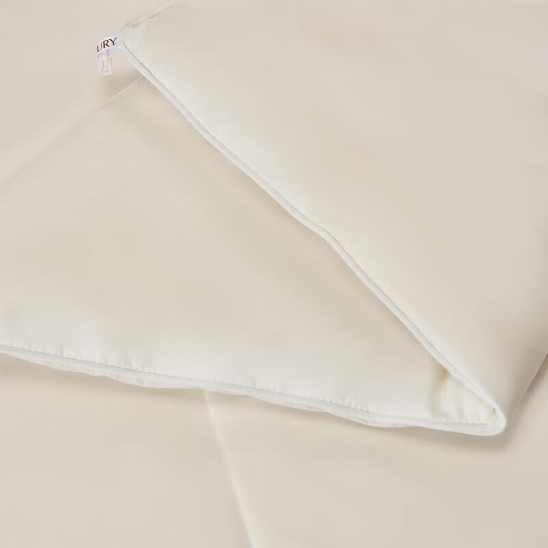 Mercury Home Textiles 60-Count Cotton Mulberry Silk Quilt