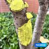 Pruning Sealant For Trees Wound Care For Damaged Trees Quick Recovery Bonsai Cutting Cream Wound Repair Tools For Daily Tree