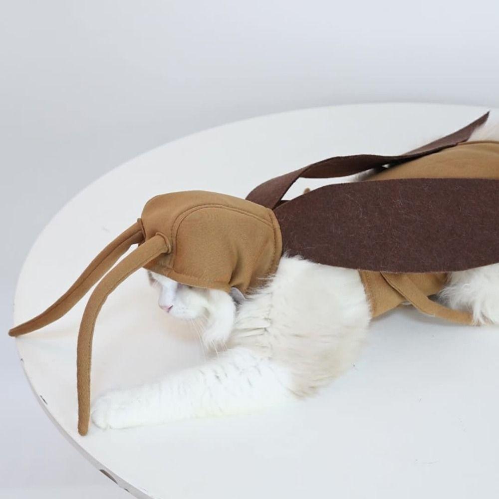 Breathable Cat Cockroach Costume Realistic Funny Kitten Cape Craft Set  Pet Kitten