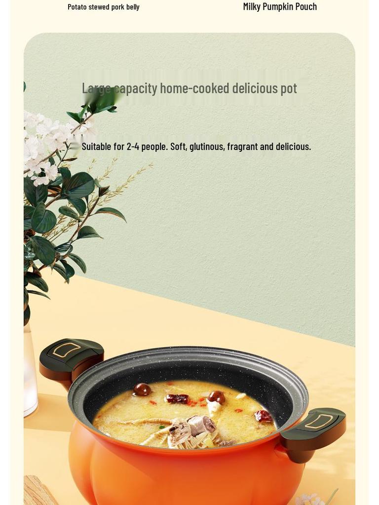 Multi-Purpose Non-Stick Pressure Cooker & Stewing Pot