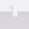 Spot Sufitowy Nowoczesny Biały Okrągły Ø10Cm Obrotowy Klosz Do Kuchni Przedpokoju 1Xe27 15W Flash Sollux Lighting