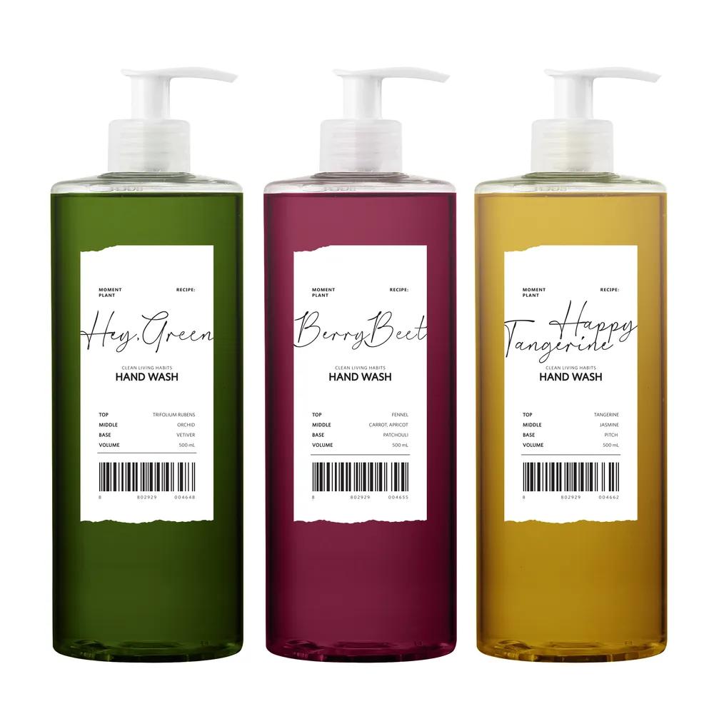 

EVAS Mimi Lorins Moment Plant Perfume Hand Wash 4 Types (500ml x 1) (Heygreen) 1