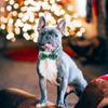 Verstellbares Weihnachts-Hundehalsband Rot Grün Kariert Katze Schleifenhalsband Niedliche Haustier Fliege Verkleidung