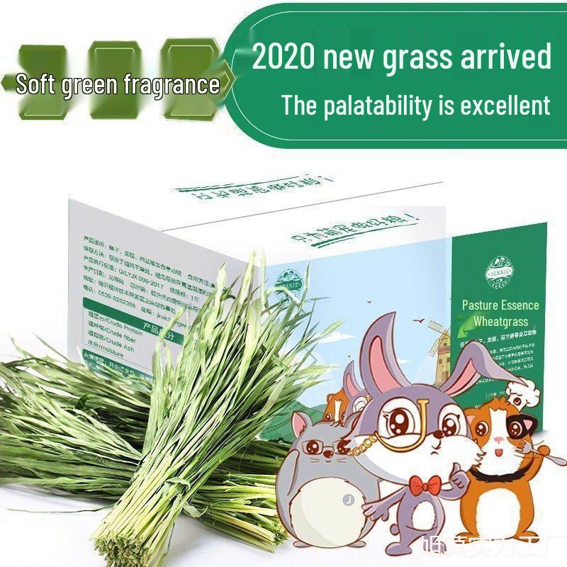 Rabbit & Guinea Pig Food: Timothy, Alfalfa, Fruit, Tree, Wheat, Oat Blend