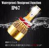 NV350 Caravan LED Fog Lamp, 2 Color Switching, T10, 8 Striking White Wedge Bulbs,