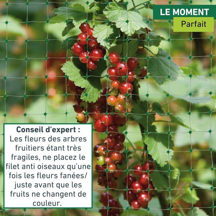 Filet de protection - windhager - 06014 - 10 x 4 m - vert - anti-oiseaux