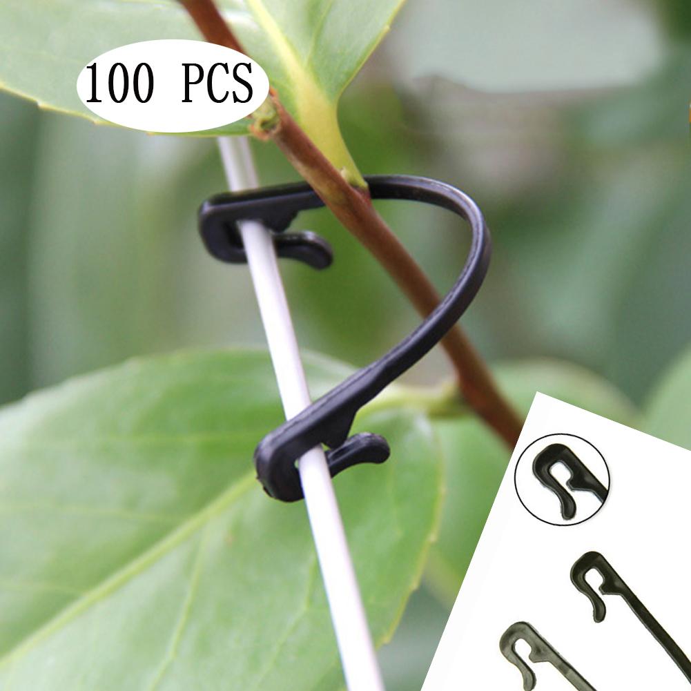 100 STK Vines Festefeste Knyttet Spenne Krok Plante Vegetabilsk podeklips Landbruksveksthusrekvisita