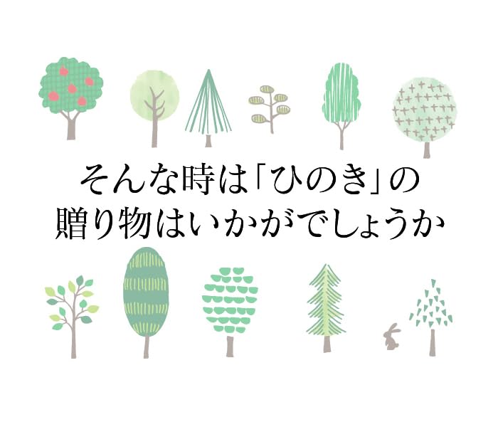 Reliqua Hinoki Aromatherapie-Geschenk von einem Hinoki-Spezialisten 5ml Ätherisch Perfekt für Katzen und Weiße Geschenkbox mit Geschenkverpackung und Geschenk Perfekt für