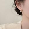 Women's Autumn and Winter Light Luxury Unique Earrings