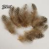 Feather Decorations for Colors 4.5-10cm Natural Chicken Guineahen Feathers Crafts 50Pcs Tail Bright Colored DIY