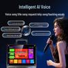 HANDUNYOUST-1501 Portable Karaoke Speaker System with Display