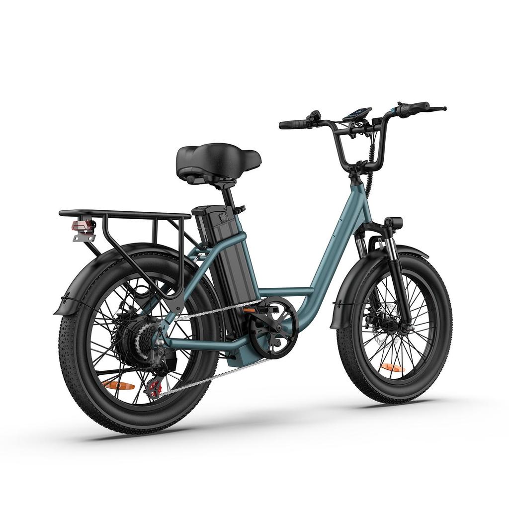 URLIFE-E20 20"x3" Fat Tire Electric Bike - 250W Motor, 48V 13AH Battery, 80-100KM Range