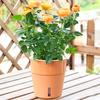 Plant Pot Eye-catching Heat Resistant Plastic Automatic Water Absorption Plant Pot with Cotton Ropes for Home