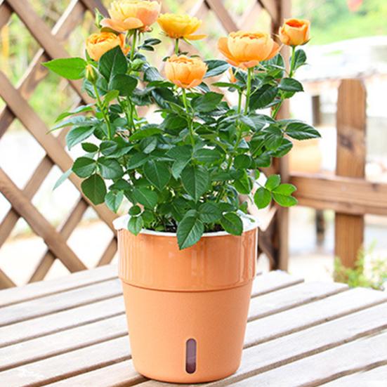 Plant Pot Eye-catching Heat Resistant Plastic Automatic Water Absorption Plant Pot with Cotton Ropes for Home