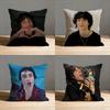 S-sombr Back To Friends Pillow Case For Sofa Decor Car Office Room Printing Cushion Cover Decorations and Protector