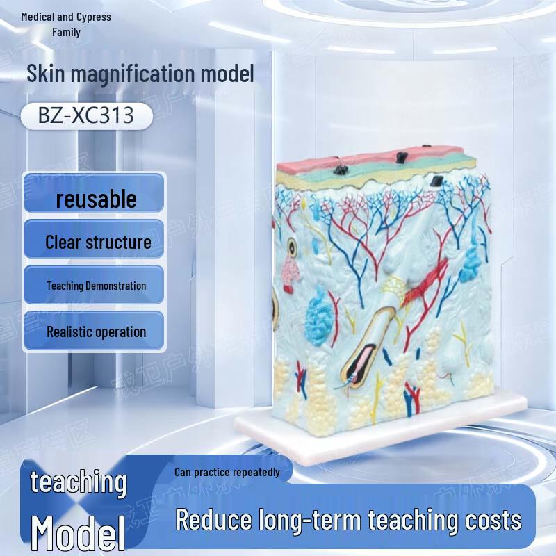 Medical Skin Magnification Model