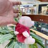 Plush Cozy Short Bear Astronaut Doll Keychain Vibrant Colors For Collecting Fun