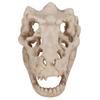 Dinosaur Skull, Fish Box Small Skull Aquarium Decorations Dinosaur Skeletons Aquarium Ornaments Skeleton Hole Artificial Dinosaur Skull Skeleton Orna