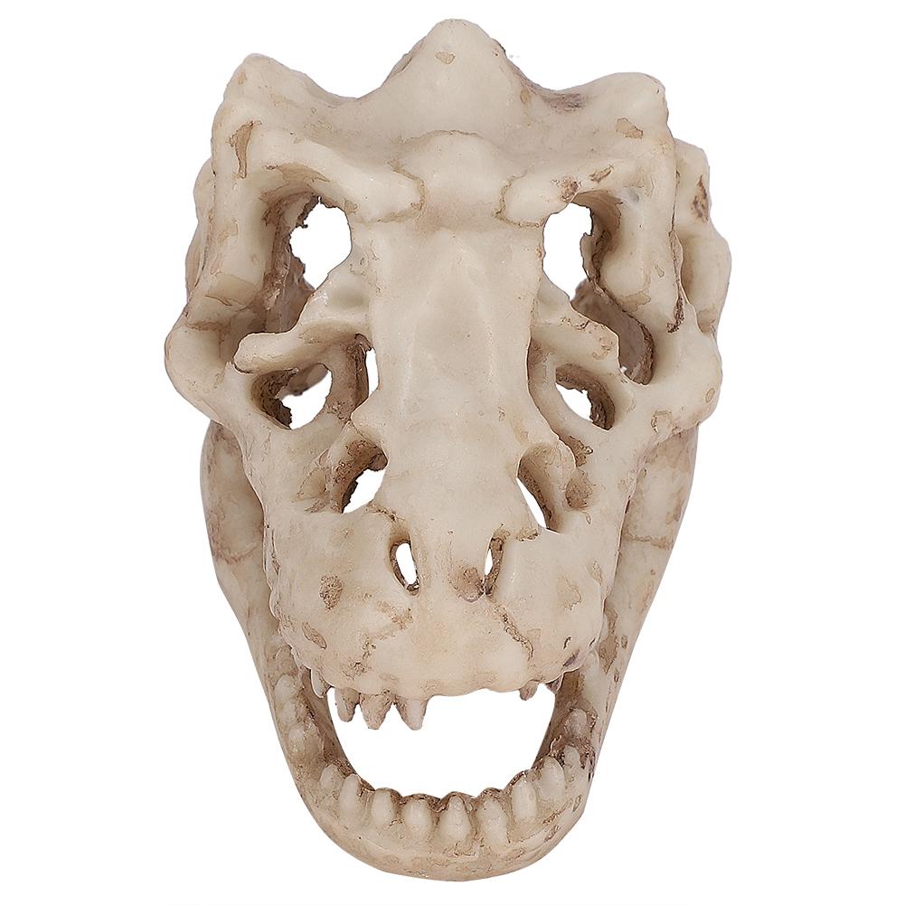 Dinosaur Skull, Fish Box Small Skull Aquarium Decorations Dinosaur Skeletons Aquarium Ornaments Skeleton Hole Artificial Dinosaur Skull Skeleton Orna