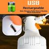 Portable LED travel light bulb with hook, USB rechargeable emergency work light, handheld floodlight lantern