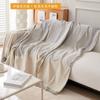 Sofa Towel for All Seasons Simple Ins Style Anti Cat Scratch Sofa Dustproof Sofa Blanket