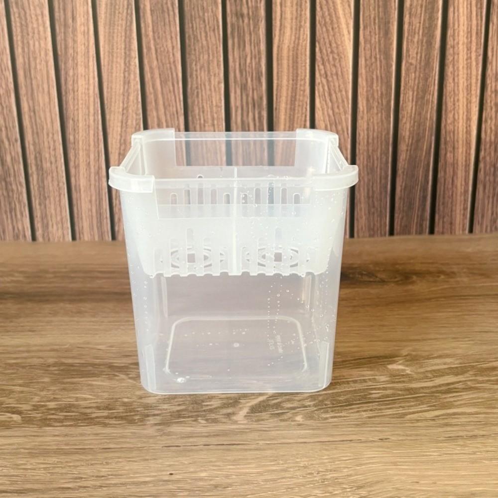 3PCS 4-grides Design Hydroponic Flower Pot with Drainage Holes Transparent Planting Basket Plastic Square Tulip Bulb Planter