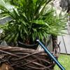 Stainless Steel Long Mouth Water Can Metal Watering Organizer Supplies for Gardening Lover Watering Present Supplies