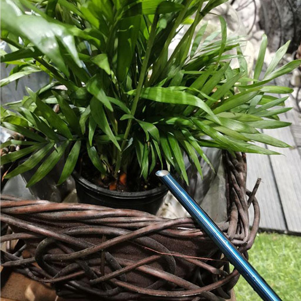 Stainless Steel Long Mouth Water Can Metal Watering Organizer Supplies for Gardening Lover Watering Present Supplies