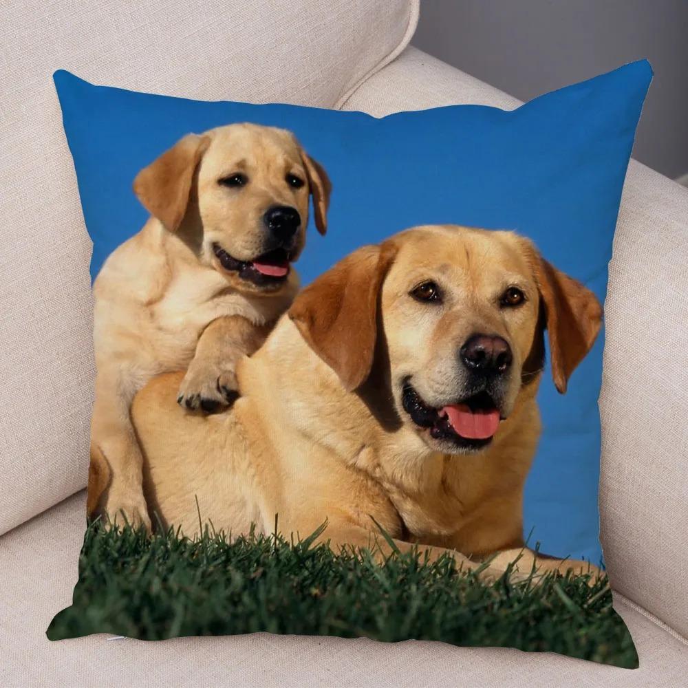 Office Living Room Home Pillowcase Pet Labrador Pattern Pillowcase Car Ornaments