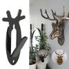 Skull Hanger European Mount Deer Head Hanger Hunting Trophy Mounts For Home Office Avid Hunters Taxidermy Enthusiasts Ranch