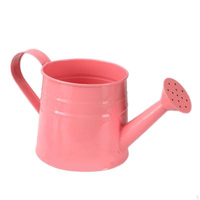 Adapatoare Accesorii pentru instrumente de gradinarit Design vintage Stropitor plante aspersor pentru exterior