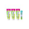 Clear Clean Toothpaste Natural Mint 170g X 3 + Toothpaste Powder [Quasi-drug] Toothpaste